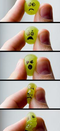 grapes-206x450 grapes-206x450